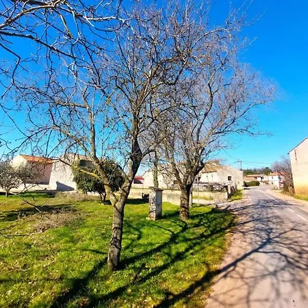 Cozy Apartments&rooms Pavićini Pensjonat 3*