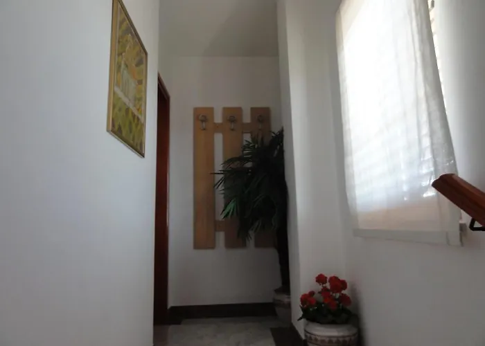 招待所 Cozy And Pavicini Segotici