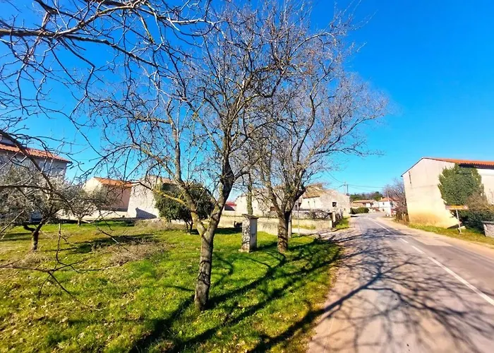 Cozy And Pavicini 招待所 3*