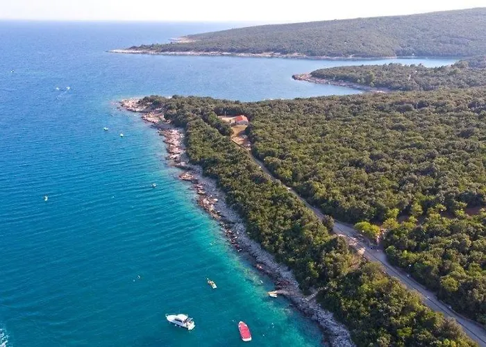 招待所 Cozy And Pavicini 3*