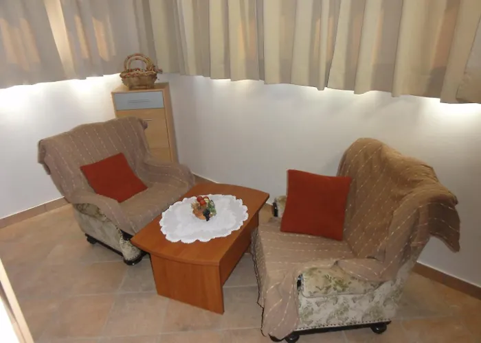 Cozy And Pavicini Segotici